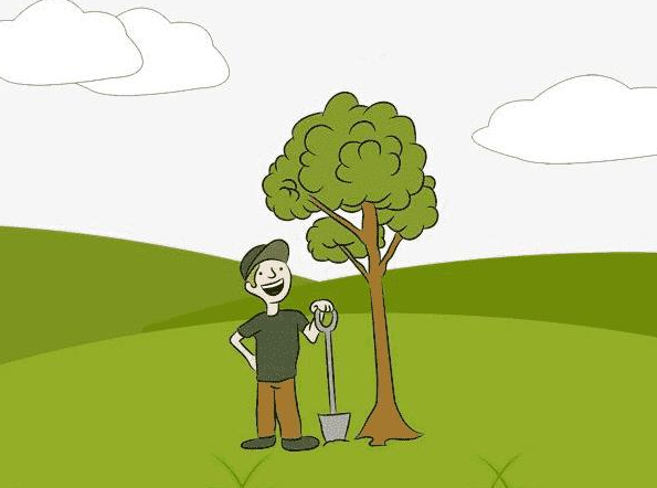 树种植园环境推广