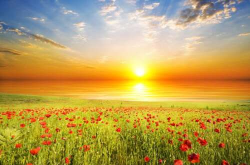 感激的自然判决