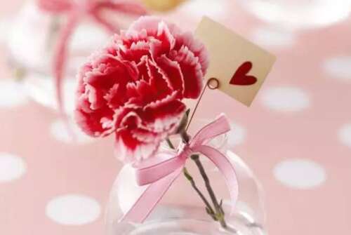 Zhoyan感恩节老师