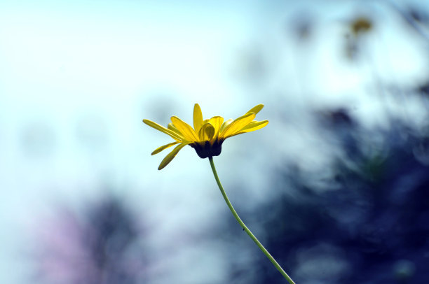 大句子，晚安正能源报价2