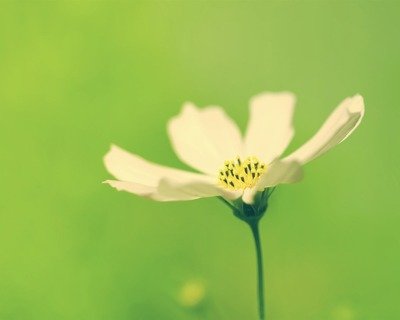 大句子，晚安正能源报价