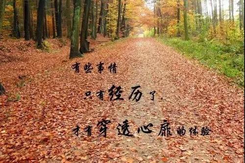 2021微型商业圈有吸引力