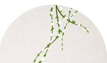 爱一个人极致的浪漫情话