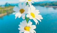 形容一起努力的诗句