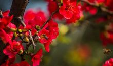 春天阳光温暖的句子