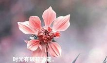 朋友圈发心情好的句子