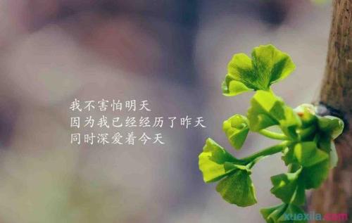 个人心情告诉短语