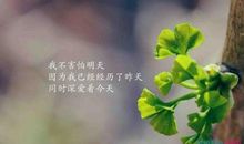 个人心情说说短语