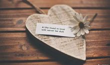 晒生日礼物说说