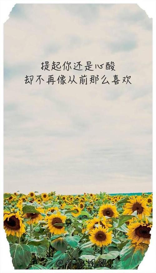 一个非常受欢迎的句子