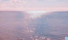 对他人失望心寒的含义诗句