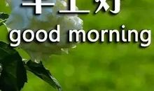 刷朋友圈一句话经典说说