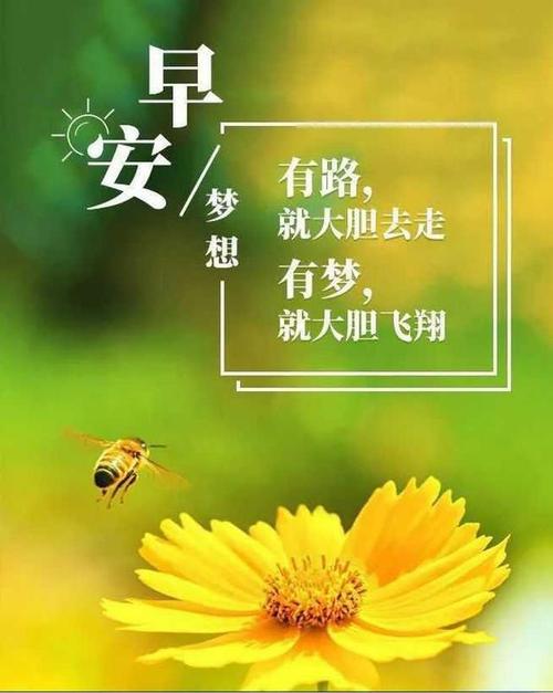 怎么对女孩说早上好