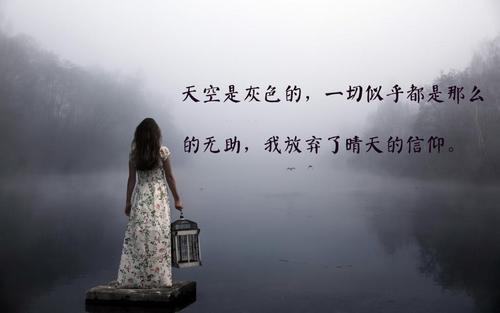 男孩的朋友圈充满了美丽