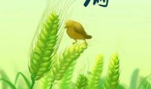 关于清明节的谚语美文美句