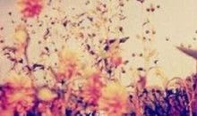 心情不好句子短句子