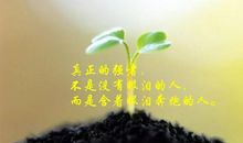 反转心灵鸡汤的语录