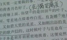 如果什么就什么造句子