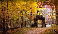 表达秋天语句表达人的句子