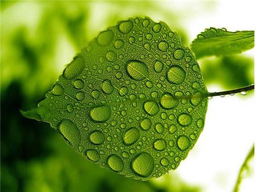 描述同志友谊的诗歌