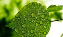 描写战友情谊的诗词