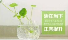 早安短句朋友圈