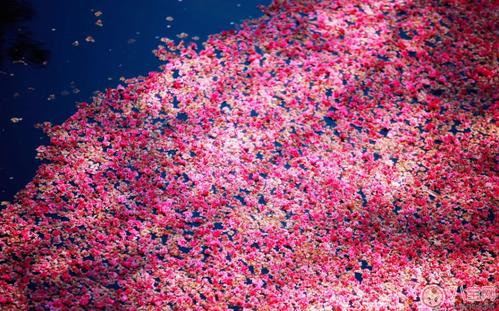 期待朋友的朋友