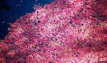 期待相遇的朋友圈句子