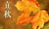 立秋朋友圈文案