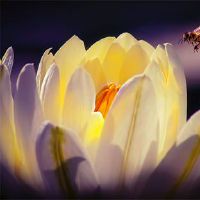 2022现实和非常坚实的句子（选定的160句话）