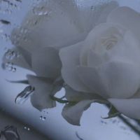 一个完整的心冷悲伤个性签名心脏哇酷哇酷报价签名