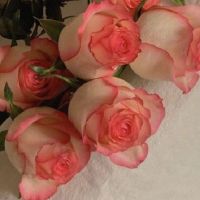 Funeral love sentence non-mainstream traditional Chinese signature burial love family's personality signature Daquan