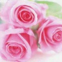 早上好，激励句子图片：我不想三年后想想，我只是想现在去。