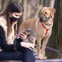 流行性安全促销口号Anyang疫情正畸能源会谈（选定45）