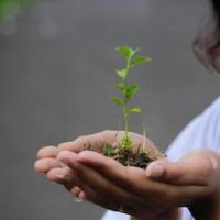 2022 Anyang战斗流行病集中疫情阳性能量感觉（选定56）