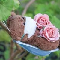 Anyang疫情预防和控制积极能量段2022新年的疫情会议