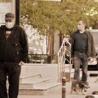 流行性积极能量判决安阳流行病感知意识短句（选定的84句）