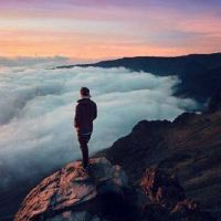 金合欢的美丽光环关于古代金合欢