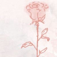 非常活跃的阳光，女孩，昵称，好的微信名字，女人