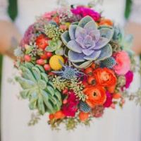 与幽默幽默的损坏的句子（选定了55句）