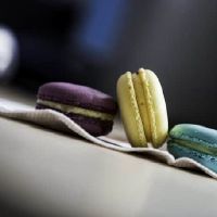 柏拉图着名的中国英语比较