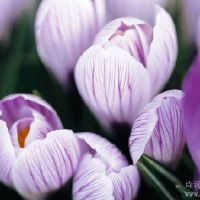 关于企业家精神的鼓舞人心的报价