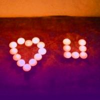 情人节桌子冬青短片2022