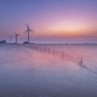 Sedak生活的节奏（选定了34句话）