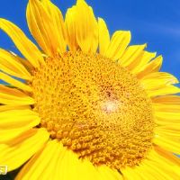 2022生日短句子案例