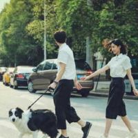 现实的感受非常担心成熟的报价。