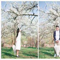 治疗英语短句特别童话英语句子