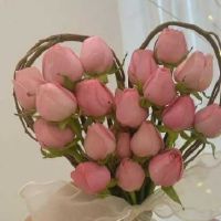 女士服装老师丝思科经典签名超级鼓舞人心的审美签名（选定41）