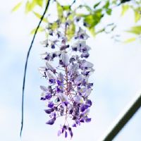 2022年经典开幕句子