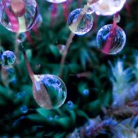 有一个学校的朋友圈谈大约2022年